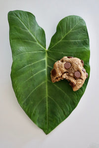 Nourishing Blend Mix