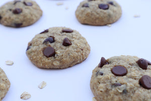 (Sensitive Blend) Oatmeal Peanut Butter Chocolate Chip Mix