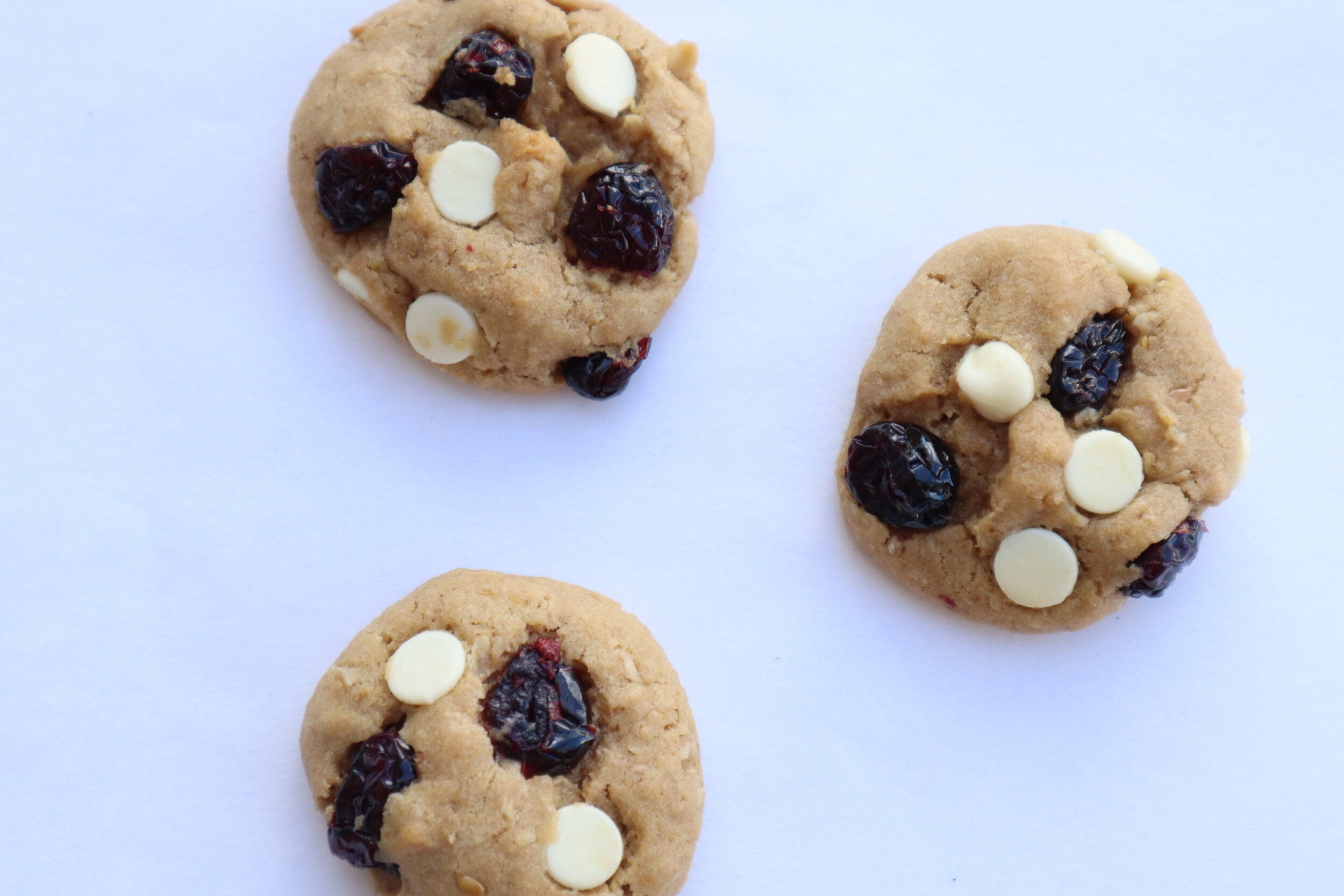 (Sensitive Blend) Oatmeal Cranberry White Chocolate Chip Mix