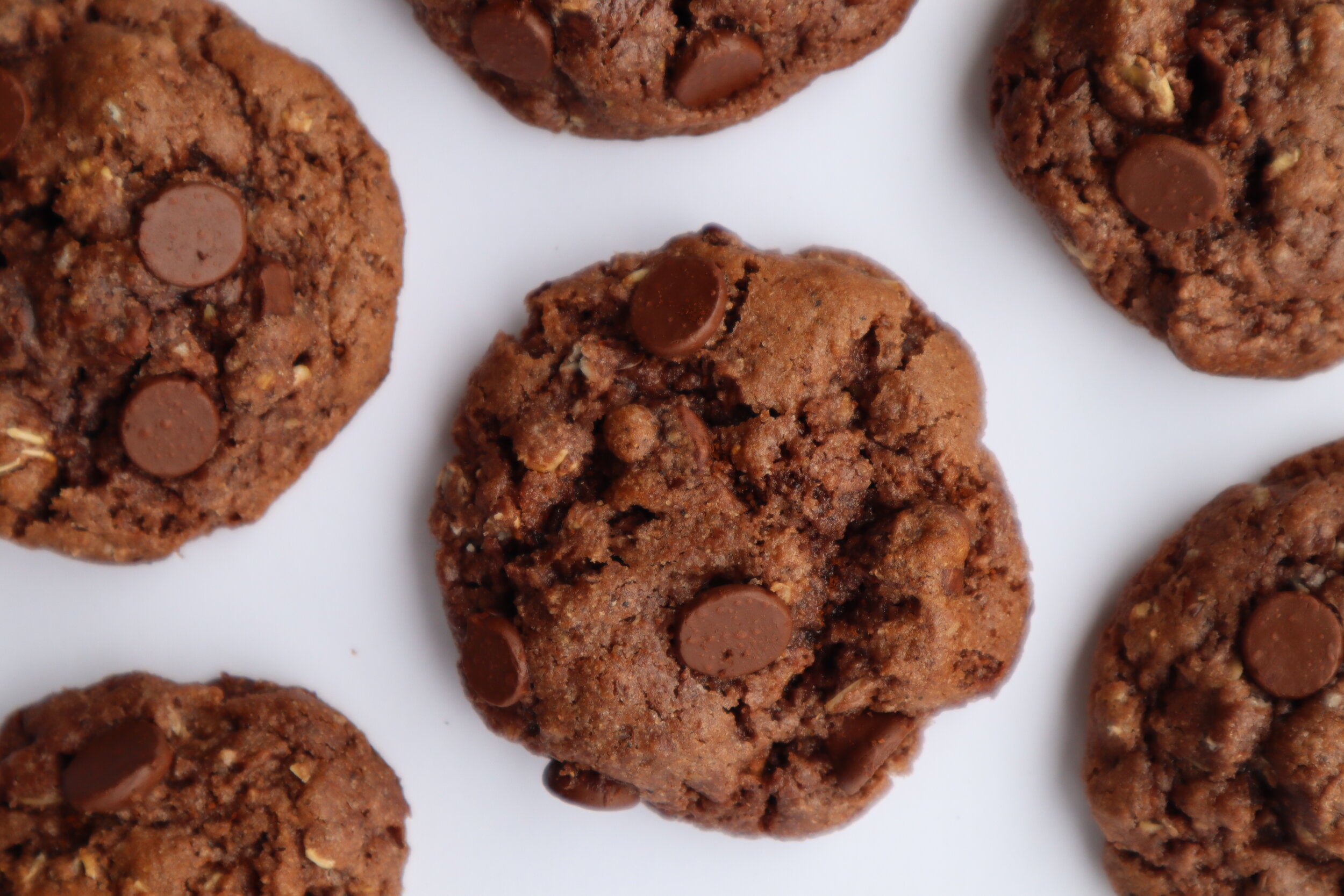 (Sensitive Blend) Oatmeal Double Chocolate Chip Mix